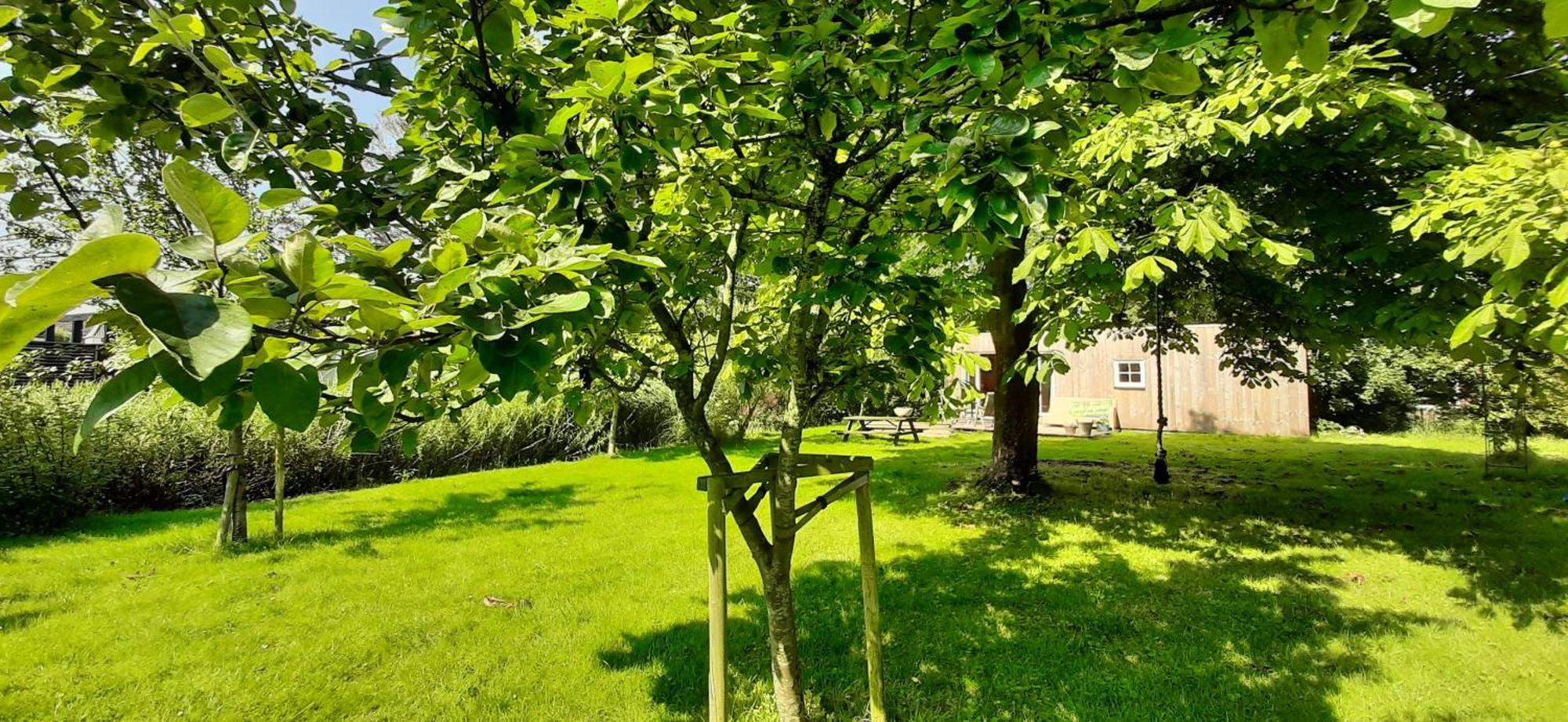 Tobornottob Villa Oosternijkerk Екстериор снимка